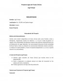 Motivos del Emprendimiento