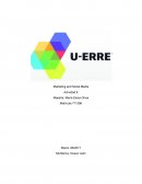 Actividad Marketing and Social Media