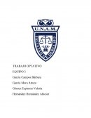 TRABAJO OPTATIVO EQUIPO 3