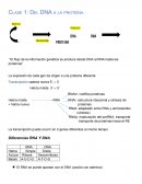 Clase 1: Del DNA a la proteína