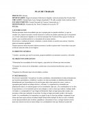 Impacto ambiental PLAN DE TRABAJO