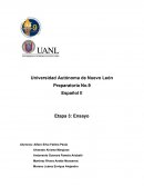 Ensayo etapa 3 español