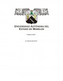 COLUMNA DE HIERRO “La colvmna de hierro”