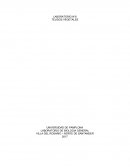 Laboratorio de biologia tejidos vegetales