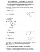 Cuestionario – Extractor de Soxhlet