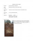 INFORME DE VISITA DE CAMPO