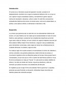 Turismo Actividad Mundial Ensayo