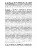 El uso de la palabra