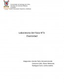 Laboratorio De Física N°3: Elasticidad