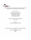 PLAN DE NEGOCIO PARA LA CREACIÓN DE UNA EMPRESA PRODUCTORA Y COMERCIALIZADORA DE COMEDORES MULTIFUNCIONAL