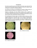 Procedimiento practica quimica 2