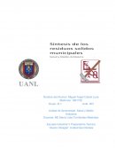 Sintesis Salud Y Medio Ambiente Etapa 3- Resuduos Solidos Municipales