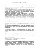 Proceso de integración de proyectos