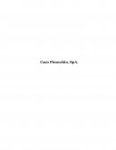 Estimación de cobros, existencias y pagos