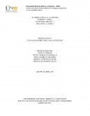 Vectores matrices_álgebra lineal