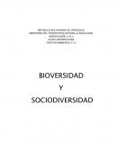 Unidad Curricular: Biodiversidad y Sociodiversidad