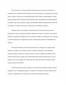 Las leyes ayudan al hombre?