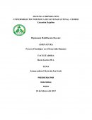 Ensayo sobre el Diario de Ana Frank