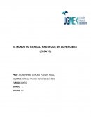 EL MUNDO NO ES REAL, HASTA QUE NO LO PERCIBES