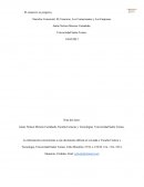 Derecho Comercial: El Comercio, Los Comerciantes y Las Empresas
