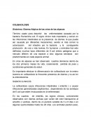 COLIBACILOSIS EN CRIAS DE ALPACAS