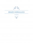 BRAZO HIDRAULICO Termofluidos