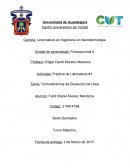 Termodinámica de Disolución de Urea