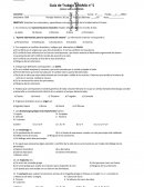 Guía trabajo n° 5 síntesis del drama