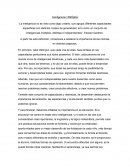 Inteligencias Múltiples. A partir de esta definición, comenzare a destacar la importancia de las mismas, en distintos aspectos