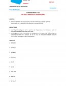 Actividad grupal – N°2 “Metales ferrosos: designación”