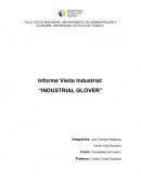 INFORME GLOVER TEMUCO