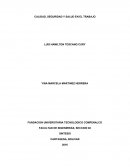 CALIDAD, SEGURIDAD Y SALUD EN EL TRABAJO