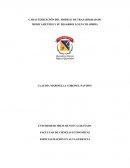 CARACTERIZACIÓN DEL MODELO DE TRAZABILIDAD DE MEDICAMENTOS Y SU DESARROLLO EN COLOMBIA