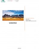 Sabana ecosistema
