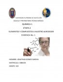 ELEMENTOS Y COMPUESTOS A NUESTRO ALREDEDOR EVIDENCIA No. 1