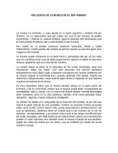 Influencia de la musica en el ser humano
