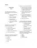 En cuáles sectores de la industria se encuentra aplicado los sistemas flexibles de manufactura?