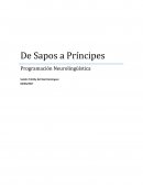 De Sapos a Príncipes Programación Neurolingüística