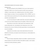 MICROEMPRENDIMIENTO PELUQUERIA EXPRESS