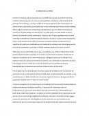 EL ORIGEN DE LA TIERRA La tierra en donde la vida se desarrollo era muy deferente a la que conocemos hoy en día