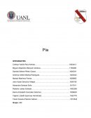 PIA Cultura Fisica y Salud 4