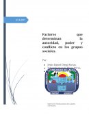 Factores que determinan la autoridad, el poder y el conflicto