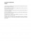 TRABAJO PRÁCTICO MARTILLERO