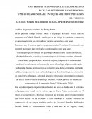 Análisis del parque temático de Harry Potter