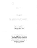 Competencias Socio humanísticas