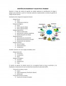 GESTIÓN DE SEGURIDAD Y SALUD EN EL TRABAJO