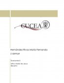 El Impacto de la corrupción en México