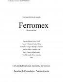 Caso Ferromex
