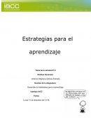 Trabajo semana 2 estrategias para el aprendizaje