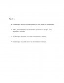 Tratamiento Secundario de Aguas Residuales Analizar qué filtración es la más conveniente a utilizar